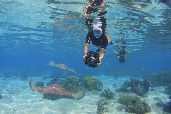 Moorea Private Boat Tour / Sea Scooter Snorkeling Tour - The private format works best for small groups