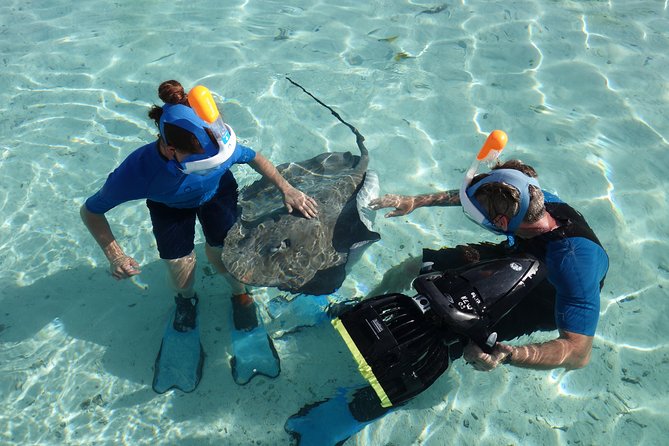 Moorea Private Boat Tour / Sea Scooter Snorkeling Tour - Who will get the most from this Moorea activity