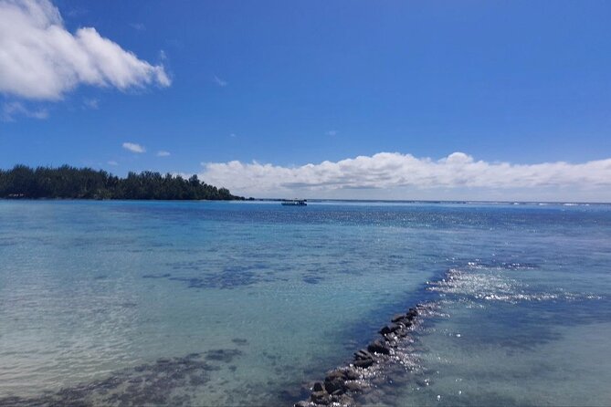 Moorea Private Full Day Tour - Rotui Juice Factory and local flavors