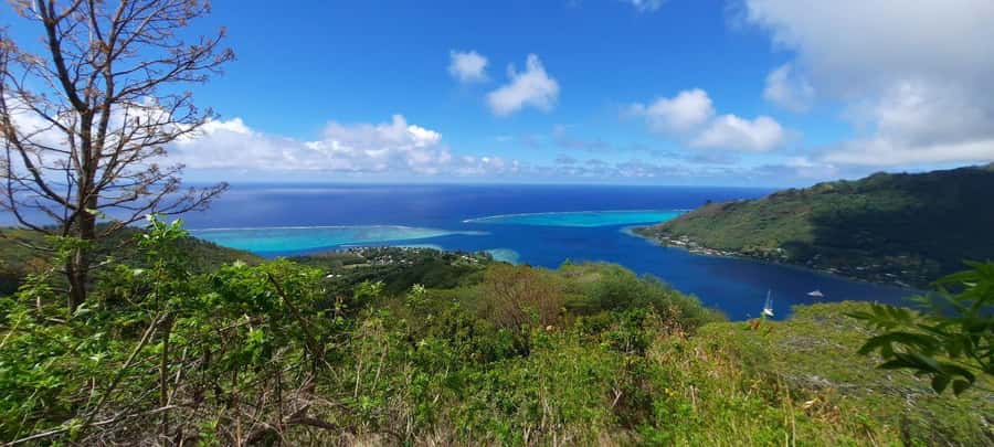 Moorea : Safari Nature and Culture Tour with local guide - Key points at a glance