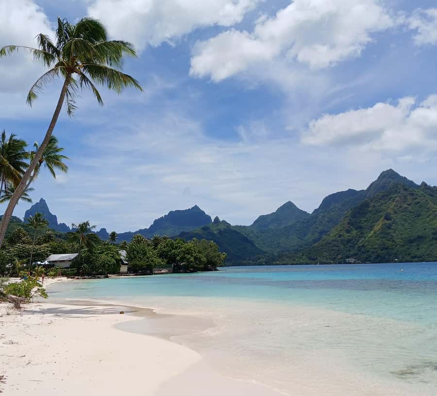 Moorea : Safari Nature and Culture Tour with local guide - Opunohu brings the past into view