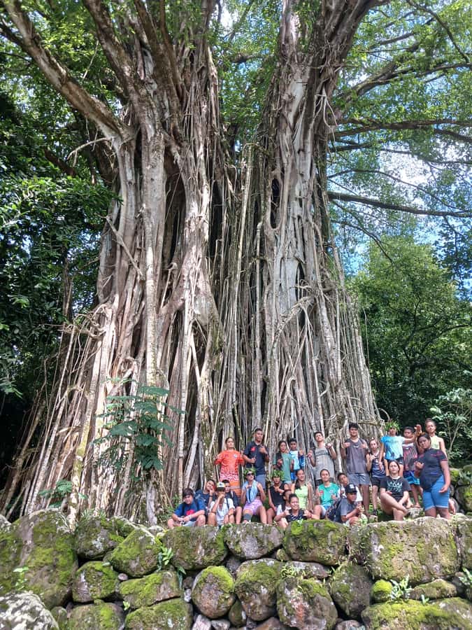 Moorea : Safari Nature and Culture Tour with local guide - Missionaries and temples add another layer