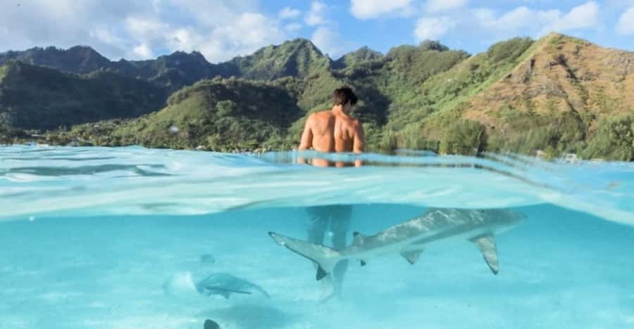Moorea: Small Group Snorkeling Tour with local guide - Tropical fruit and a cocktail on the boat