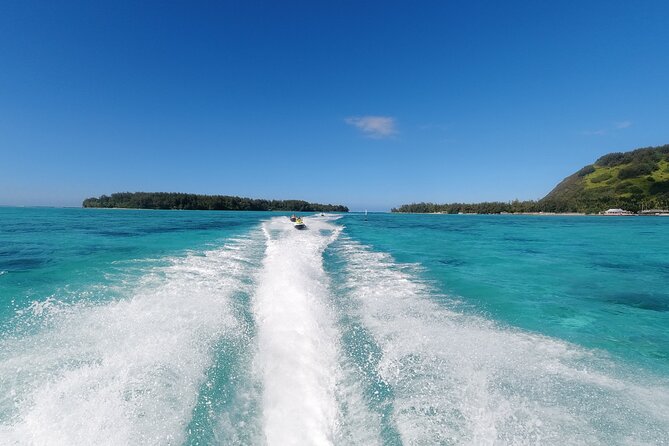 Moorea Solo or Twin Island Tour Jet Ski 4 hours - Dolphins and seasonal whales