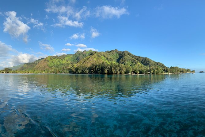 Moorea Sunset Boat Tour - A close look at Moorea’s rays and sharks