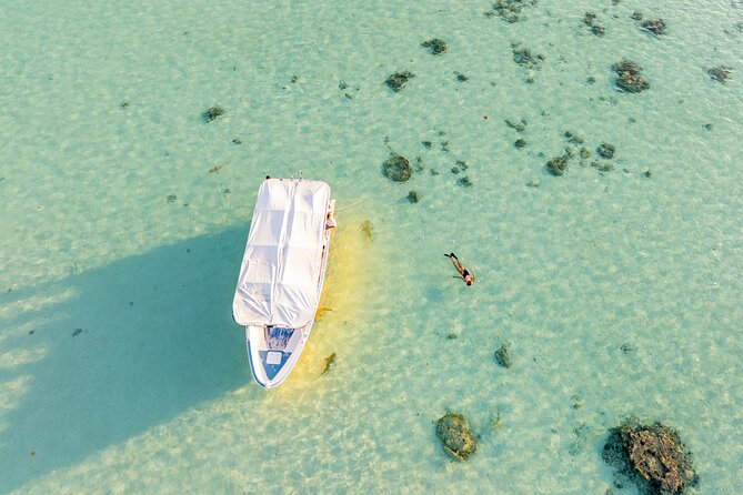 Moorea Sunset Boat Trip - Moorea’s Sunset Comes With a Swimming Stop