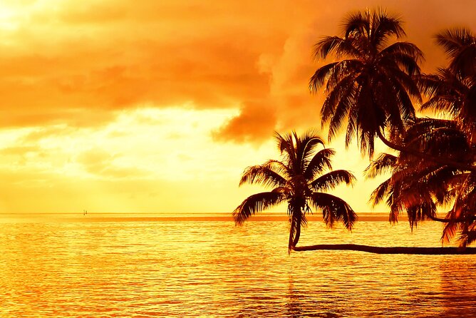 Moorea Sunset Boat Trip - Rum Punch, Soft Drinks, and Simple Extras