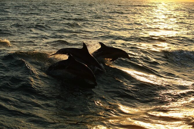 Moorea Sunset Boat Trip - What the Two Hours Feel Like