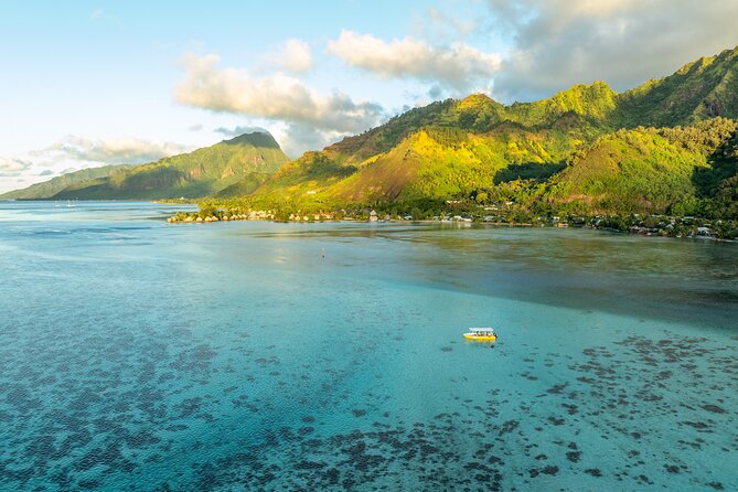 Moorea Sunset Boat Trip - Snorkeling With Turtles, Rays, and Sharks