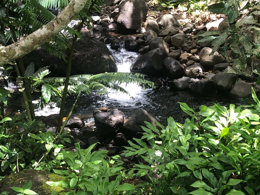 Must-Do : Nature, Culture & Moments Uniques – MirimirI Tours - Key points to know before booking