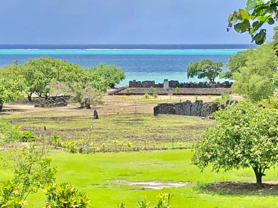 Must-Do : Nature, Culture & Moments Uniques – MirimirI Tours - The countryside by private, air-conditioned car