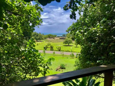 Must-Do : Nature, Culture & Moments Uniques – MirimirI Tours