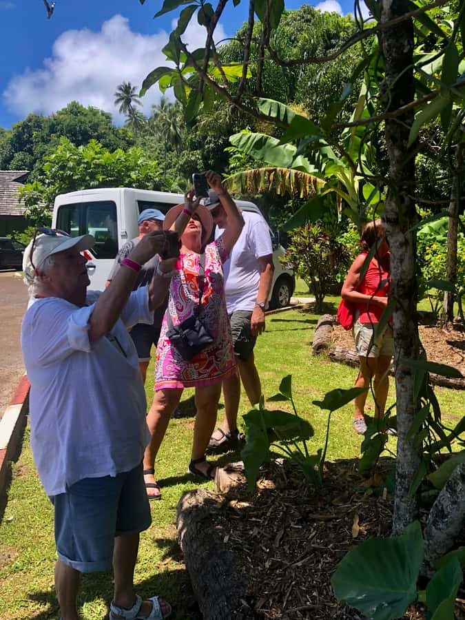 Must-Do : Nature, Culture & Moments Uniques – MirimirI Tours - Local tastes, crafts, and pearl jewelry