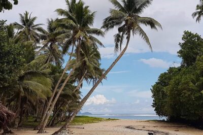 Namua Turtle Island and Eastern Upolu Tour