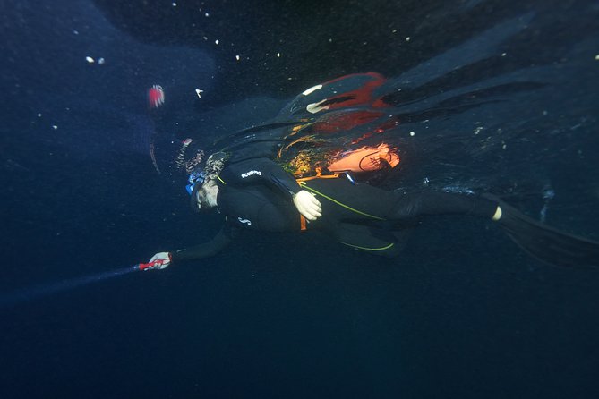 Night Snorkeling - Weather and cancellation details