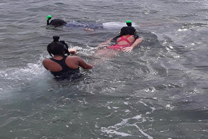 Other side of heaven Eco friendly snorkeling adventure - Meeting at Vuna Wharf at 9:00 am