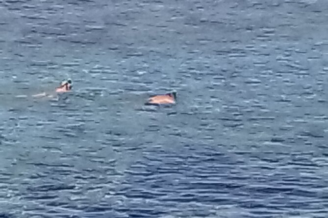 Other side of heaven Eco friendly snorkeling adventure - Three-Headed Coconut, blowholes, and Tsunami Rock