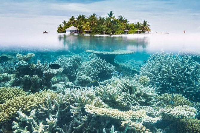 Other side of heaven Eco friendly snorkeling adventure - Abel Tasman, Otuhaka Resort, and Tonga’s royal sites