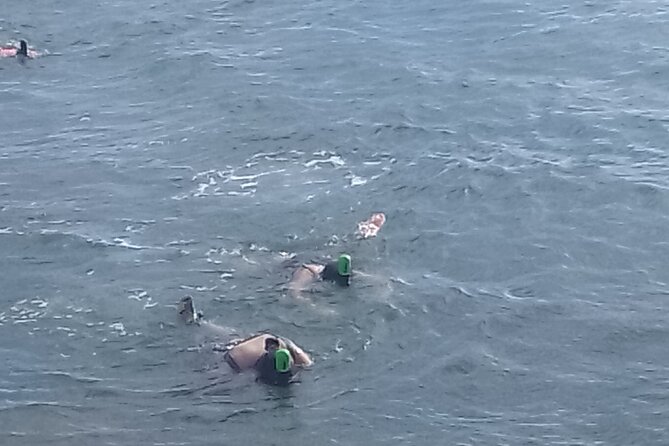 Other side of heaven Eco friendly snorkeling adventure - Who will enjoy this snorkeling outing?