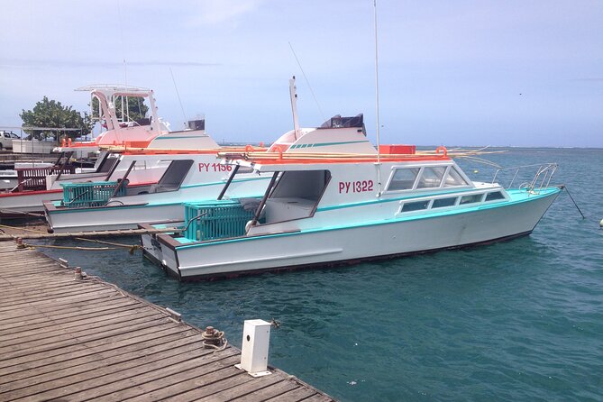 Papeete and Tahiti Historical and Cultural Tour - Local stories instead of a standard bus narration