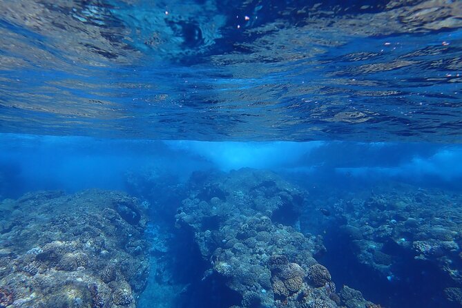 Private 4 Hours Reef Discovery Luxury Private Treasure Hunt in Bora Bora - A four-hour route built around clues