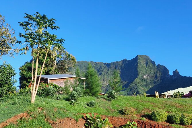Private and guided visit to Mystery House Raiatea - Key points to know before booking