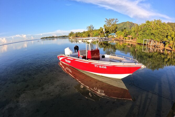 Private Big Game Fishing Day - The offshore hours: patience, tackle, and the chance at a big fish