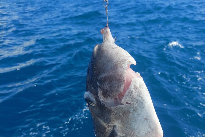 Private Big Game Fishing Tour in Raiatea - The lagoon snorkeling stop is a useful change of pace