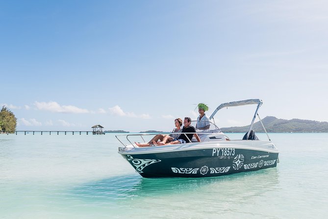 Private Boat Rental on Cap Camarat 17ft - Snorkeling among sharks, rays, and reef fish