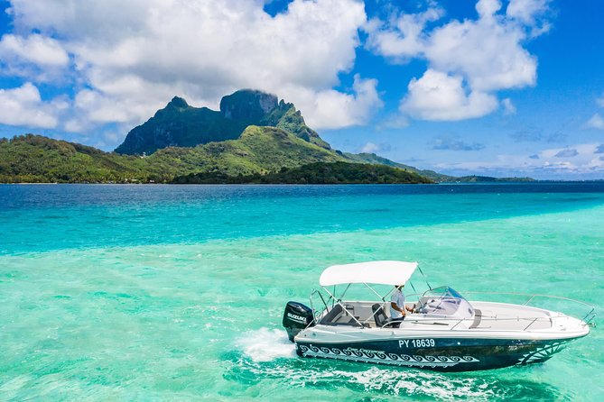 Private Boat Rental on Cap Camarat 25ft - Coral Gardens, sharks, and rays
