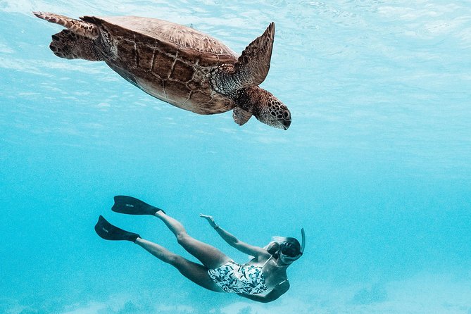 Private Boat Tour of Moorea Lagoon - Why this private Moorea boat tour works so well