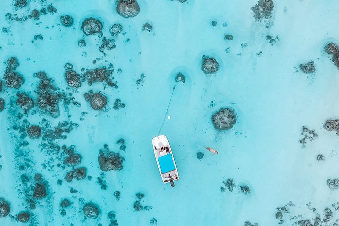Private Boat Tour of Moorea Lagoon - Fruit, juice, and a useful break