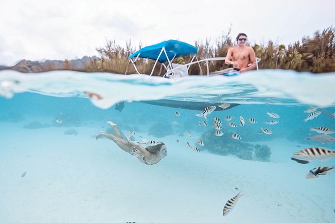 Private Boat Tour of Moorea Lagoon - The GoPro photo package adds real value