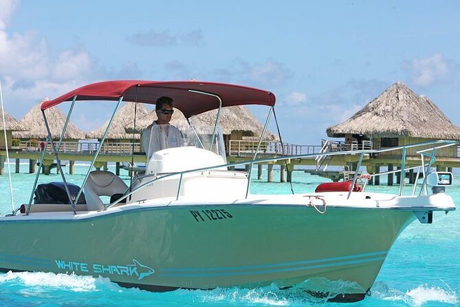 Private Bora Bora Lagoon Experience - A private way to meet Bora Bora’s lagoon wildlife