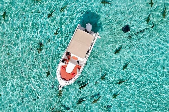 Private Bora Bora Lagoon Experience - What is included, and what you should bring