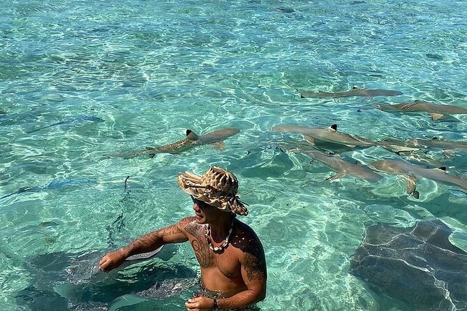 Private Bora Bora Lagoon Experience - Is $641.33 good value?