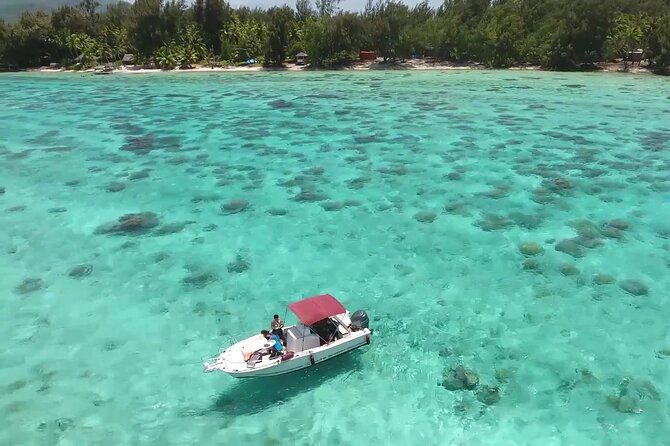 Private Bora Bora Lagoon & Water Lunch Experience - A private morning or afternoon on Bora Bora’s lagoon