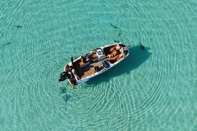 Private Day Trip Hike and Boat in Moorea - Marine life with a biologist on the north coast