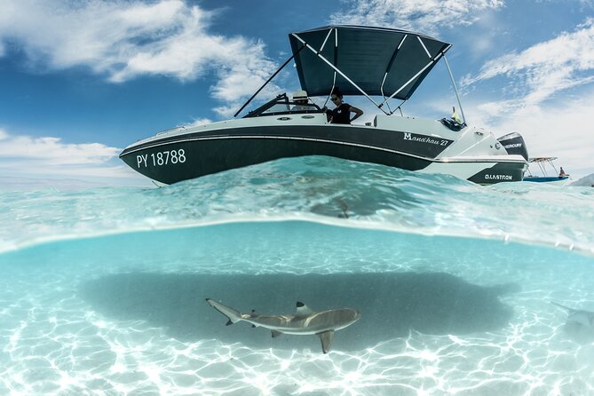 Private Day Trip Hike and Boat in Moorea - What the guides add to the day