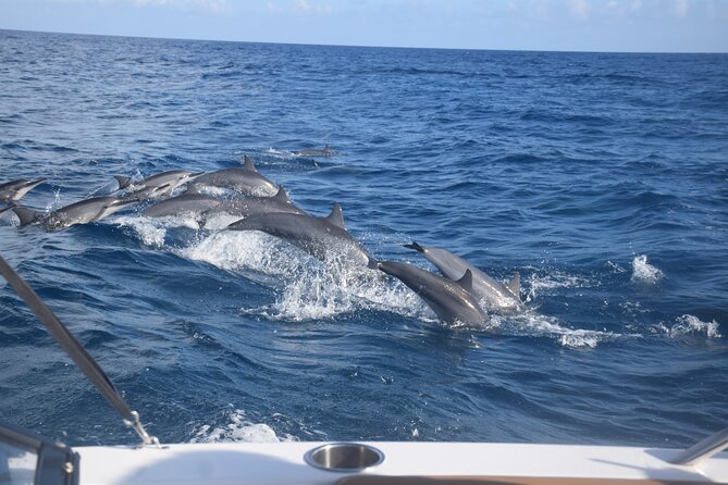 Private Day Trip Hike and Boat in Moorea - Who should book this Moorea day trip?