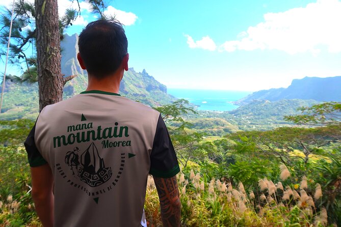 Private Day Trip Hike and Boat in Moorea - Lunch at the motu, with the boat as your table
