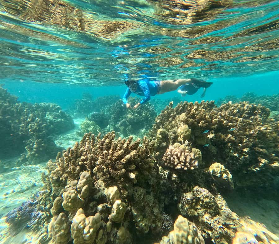 Private E-Board Tour of Moorea Lagoon - How the $94 price measures up