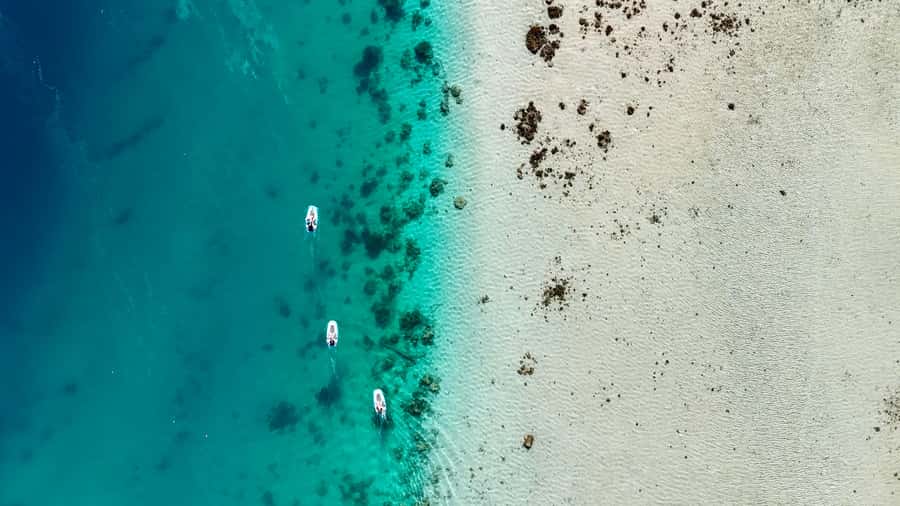Private E-Board Tour of Moorea Lagoon - FAQ