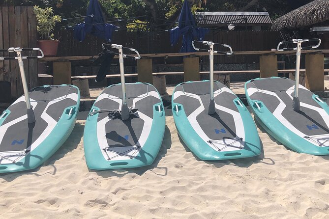 Private Electric Paddle Cruise in Bora Bora - Why the electric motor changes the experience