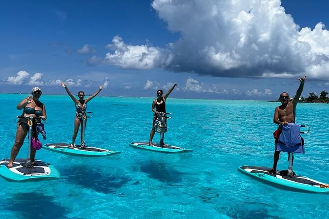 Private Electric Paddle Cruise in Bora Bora - What the $55 price gets you