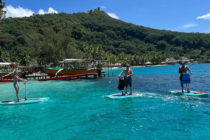 Private Electric Paddle Cruise in Bora Bora - Who will enjoy this electric paddle cruise