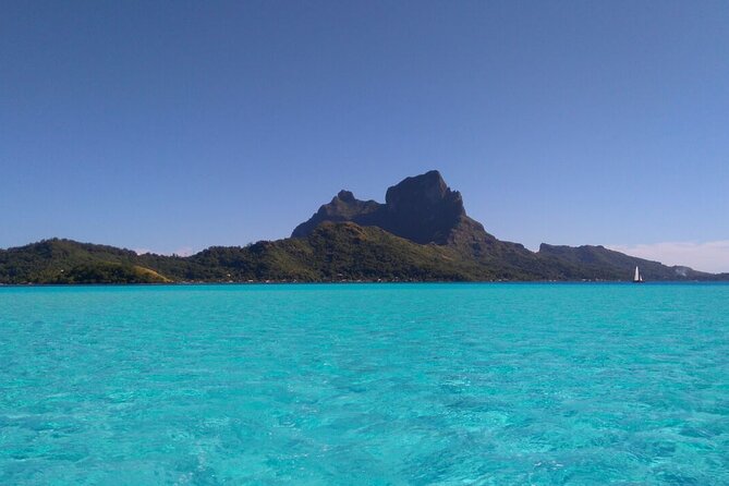 Private Electric Paddle Cruise in Bora Bora - Looking for fish, rays, and other lagoon life