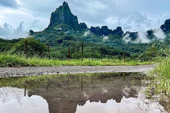 Private excursion to Moorea, photo tour & immersive discovery - Why this four-hour Moorea tour works