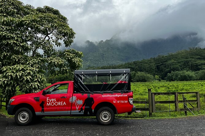 Private excursion to Moorea, photo tour & immersive discovery - Ta’ahiamanu Beach and a change of scale