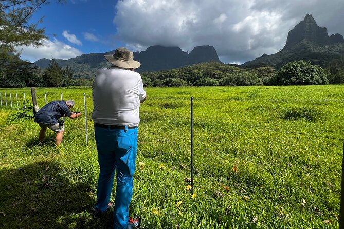 Private excursion to Moorea, photo tour & immersive discovery - Photo coaching for beginners and hobbyists